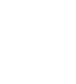 Icon Beef