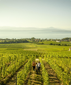 Place 1