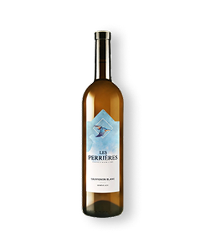 Sauvignon_Blanc