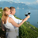 Vineyard Experience