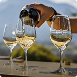 Wine Trade & Business