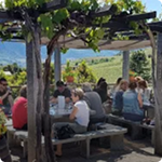 Wine Culture & Community