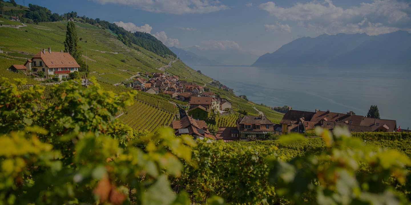 Luc Massy Vins